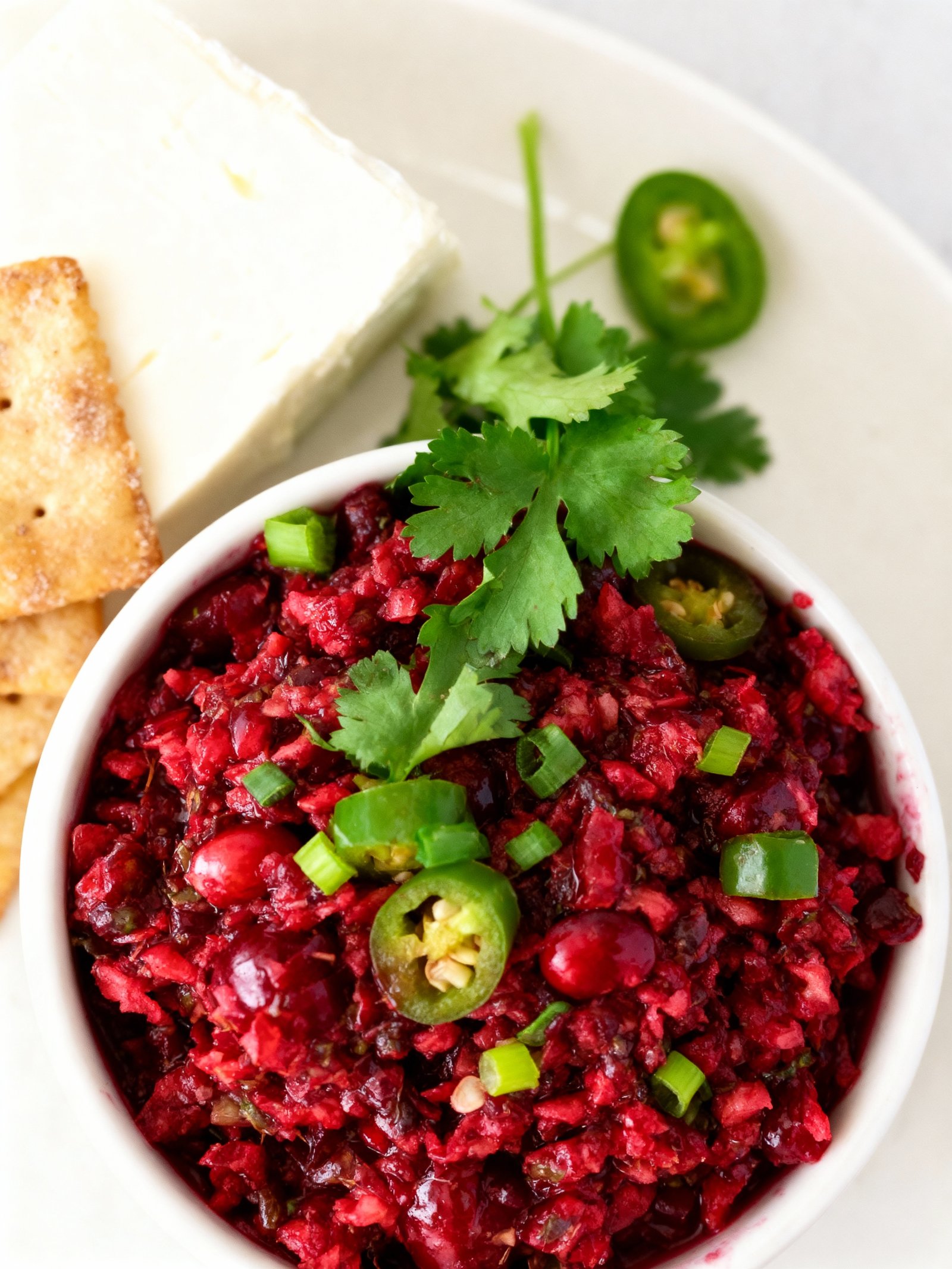 Cranberry Salsa finished