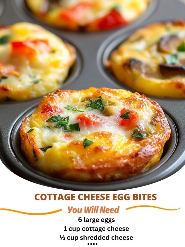 Cottage Cheese Egg Bites Recipe